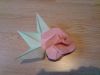 Nom du fichier=fleur.jpg
Taille du fichier=36Ko
Dimensions : 604x453
Ajouté le : 20 Février 2009 fleur.jpg