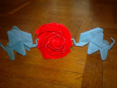 2 elephants et une rose

