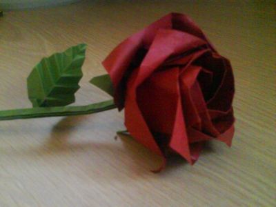 Rose complete
