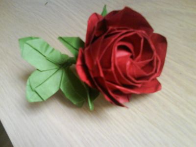 mini rose de naomiki
