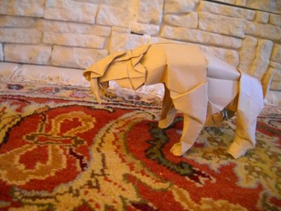 Smilodon Kamiya Tant 35*35
avant wet fold (visible pattes écartées)
