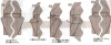 Sanglier_divin.PNG