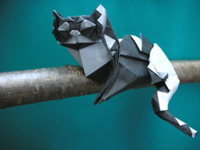 Chat du cheshire de Kaze
