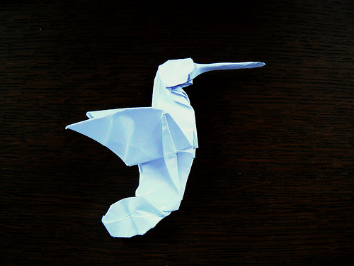 Colibri_de_Pierre_I.jpg