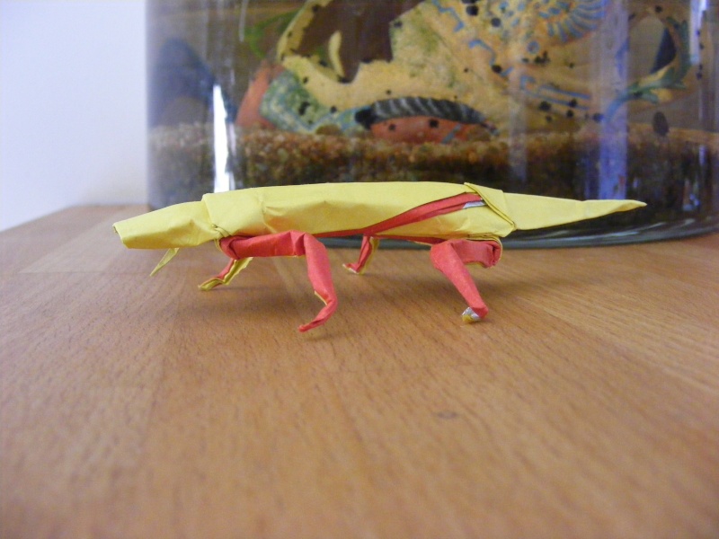 Crocodile de Tatai
