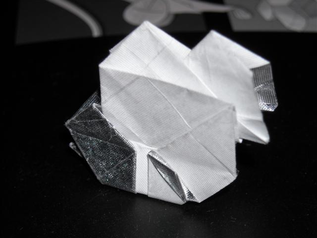Poisson de Tsi Hua 1
