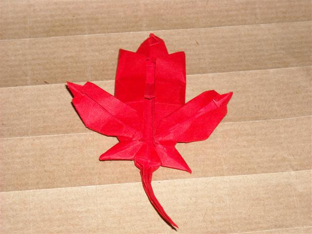 Feuilles d'érable de Brian Chan
Pliée dans un papier origami de 10 cm de côté
