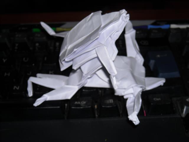 Pliage classé X 2ème vue de côté
pour le challenge de juin 2009 "à deux c'est mieux", papier imprimante
