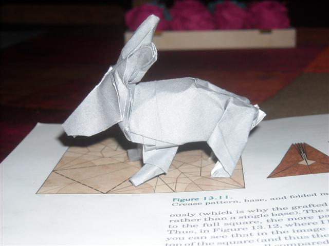 Lapin de Lang (d'après le CP)
