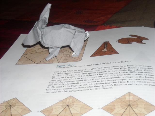 Lapin de Lang (d'après le CP de ODS)
