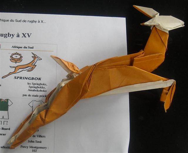 Springbok (base du poisson juin  2010) 

