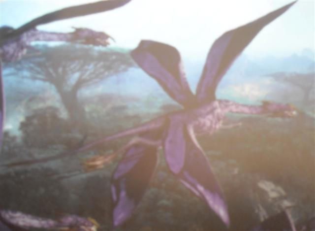 Tetrapteron
