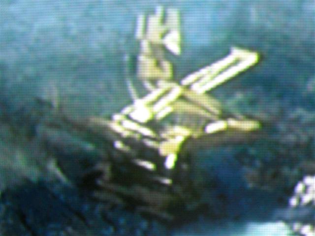 Excavatrice D
