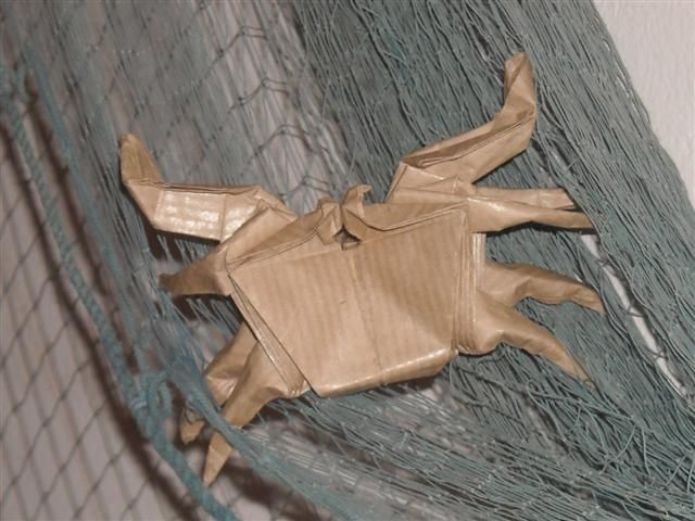Crabe de Yoshizawa (à moins que ce soit de momotani)
