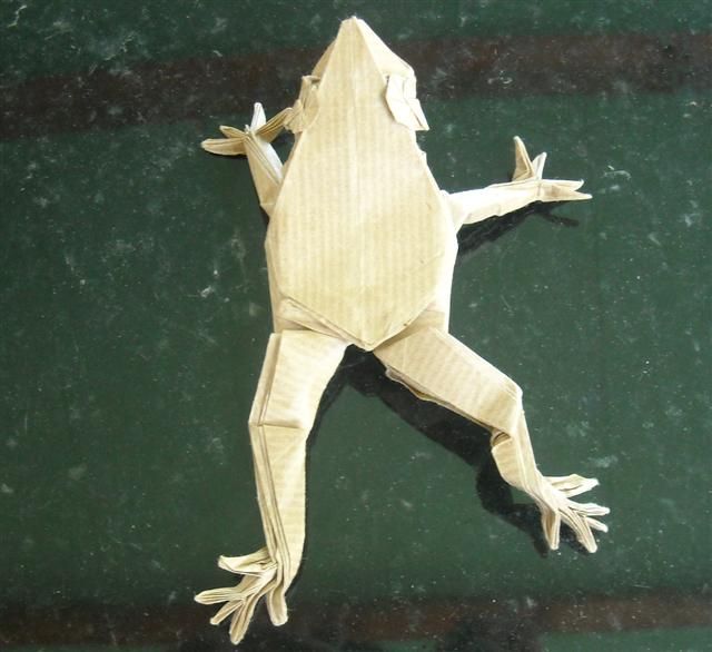 Grenouille arboricole de Petr Struchy, première quinzaine d'août 2010
