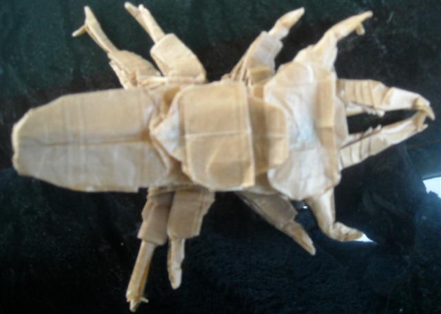 Lucanus Swinhoei 2 de Pavel Nikulshin (diagramme 1ère quinzaine de mars)
