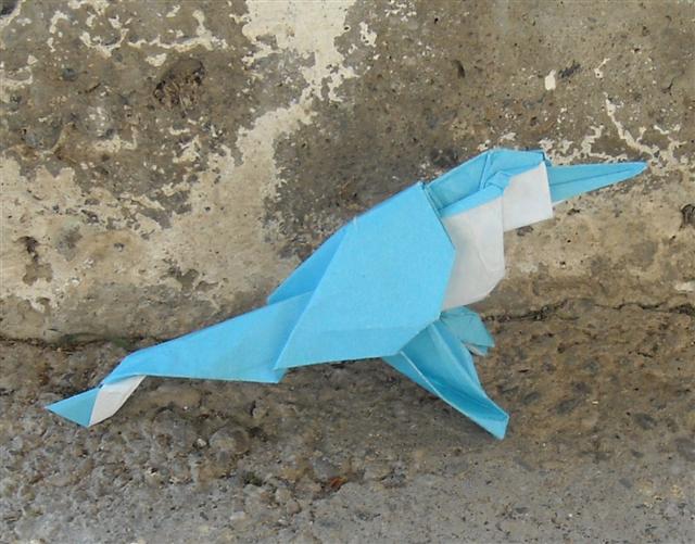 Oiseau de Andrew Hudson (CP 1ère quinzaine de mars 2011°
