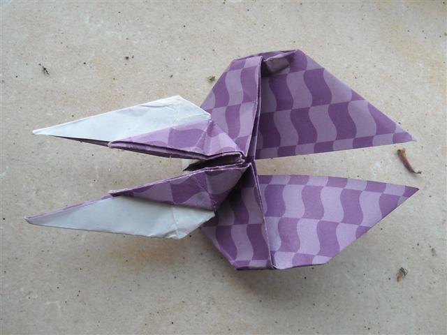 Tentative avortée de Dralthi d'Orimunshine
