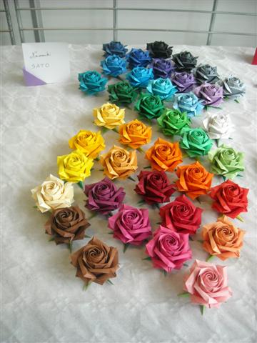 Les roses de Naomiki : toutes les couleurs
