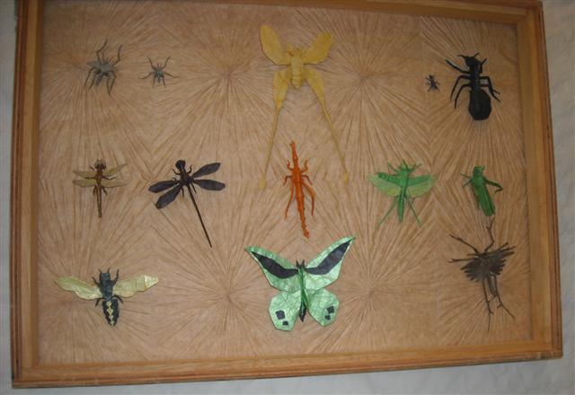 Tableau d'insecte 1 : Manuel Sirgo
