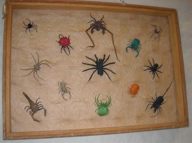 Tableau d'insecte 3 : Manuel Sirgo
