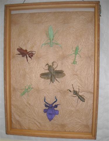 Tableau d'insecte 4 : Manuel Sirgo
