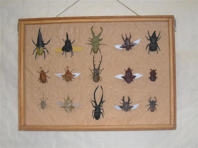 Tableau d'insecte 5 : Manuel Sirgo
