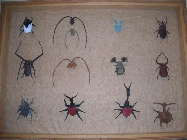 Tableau d'insecte 6 : Manuel Sirgo
