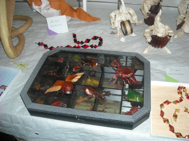 Tableau d'insecte : jacques arcambal
