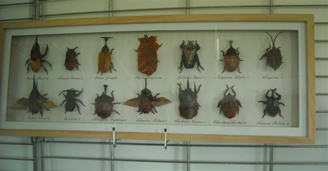Tableau d'insecte 2 : jacques arcambal
