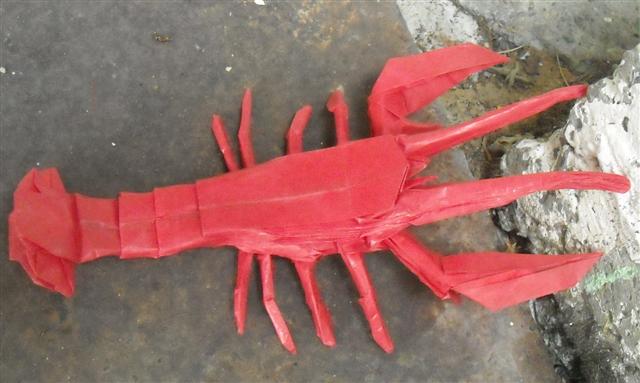 Homard du Maine de Robert Lang
