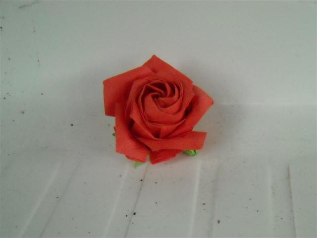 Rose de Naomiki
