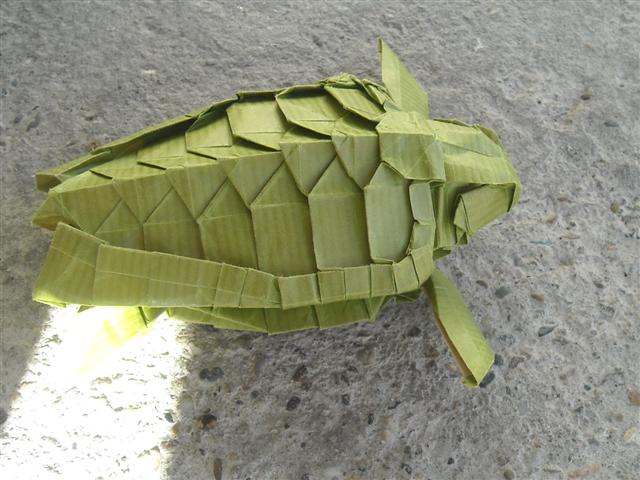 Tortue de mer de Satoshi Kamiya
