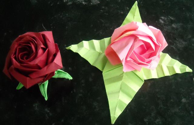 Comparaison rose Kawasaki et Naomiki Sato
