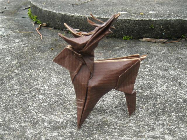 Cerf de Nishikawa Seiji 
