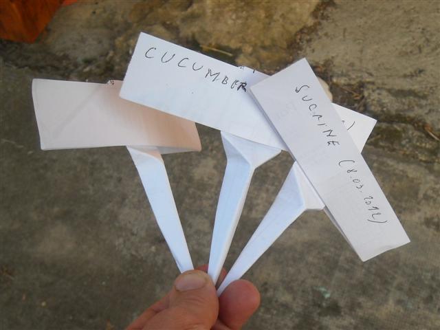 Etiquettes de semis
