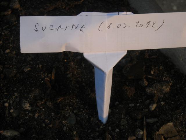 Etiquettes de semis
