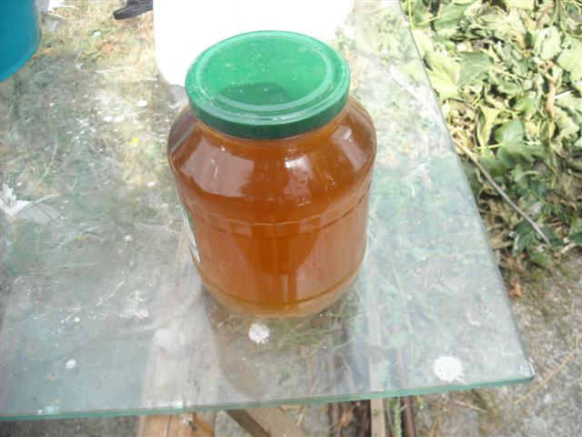 DSCN1859_28Small29.JPG