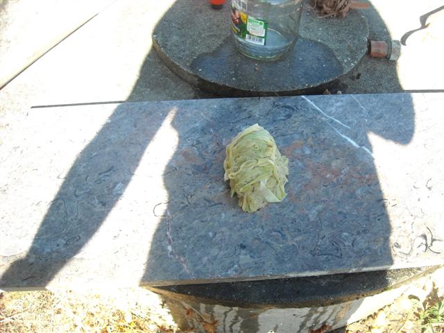 DSCN1884_28Small29.JPG