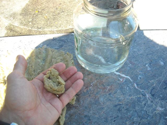 DSCN1889_28Small29.JPG