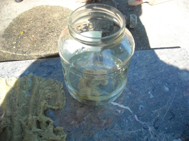 DSCN1890_28Small29.JPG