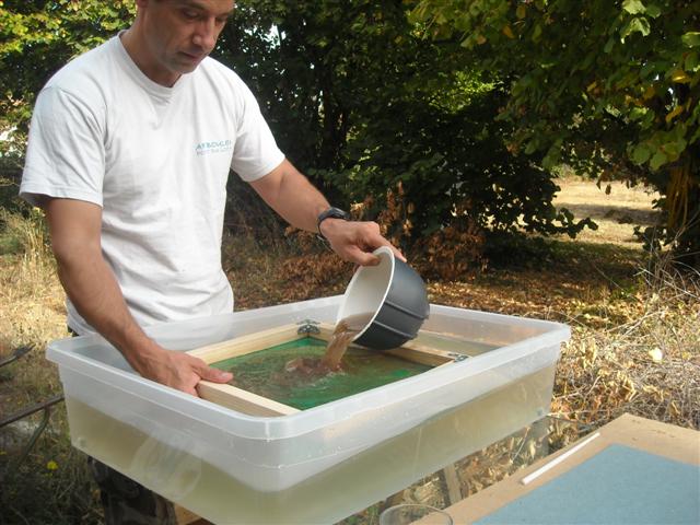 Je verse la pâte dans le moule (pâte noisetier, noyer, mimosa, figuier)
