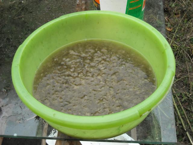 abaca + chlorophylle extraite de l'Ortie + mucilage
