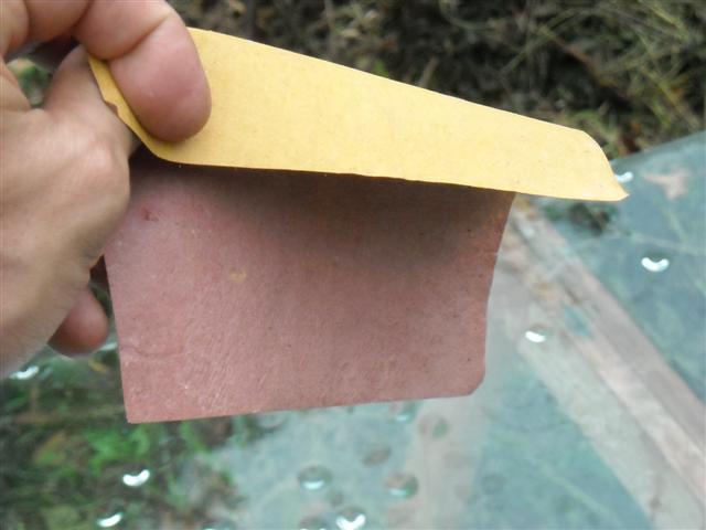Papier bicolore reçu de Aurèle (carré d'environ 12 cm)
