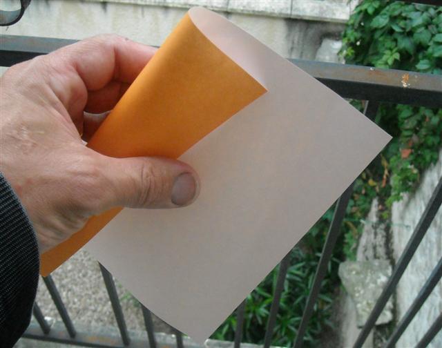 une feuille bicolore orange/blanc
