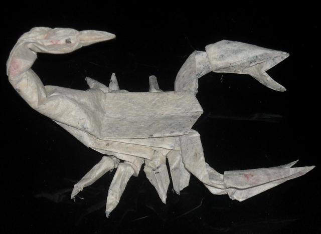 Scorpion de Lang en Kozo + MC (carré de 30 cm)

