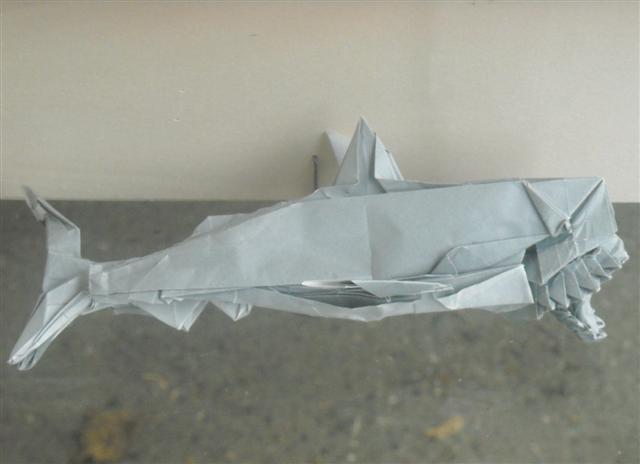 Grand Requin Blanc de Nguyen Ngoc Vu
