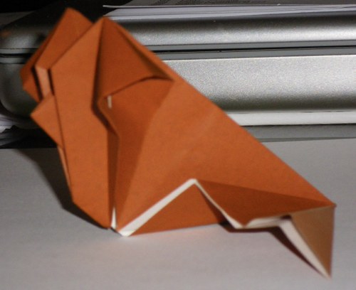 Espèce de chauve souris de Fraca7
