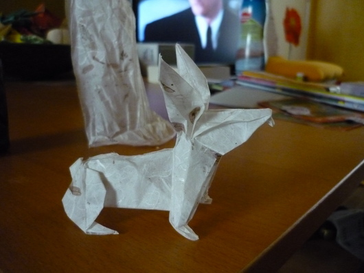 Lapin de Dachale
