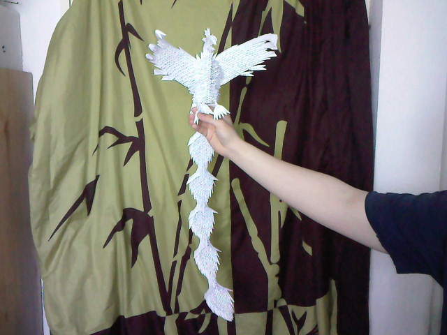 Phoenix d'Artistdragon
